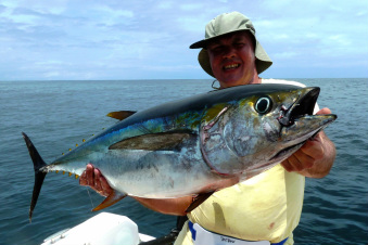 thon jaune, YFT, yellowfin tuna, popper, panama,